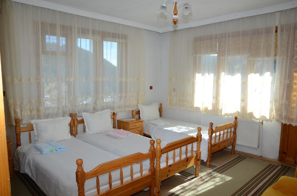 Kristal Guest House Trigrad Zewnętrze zdjęcie